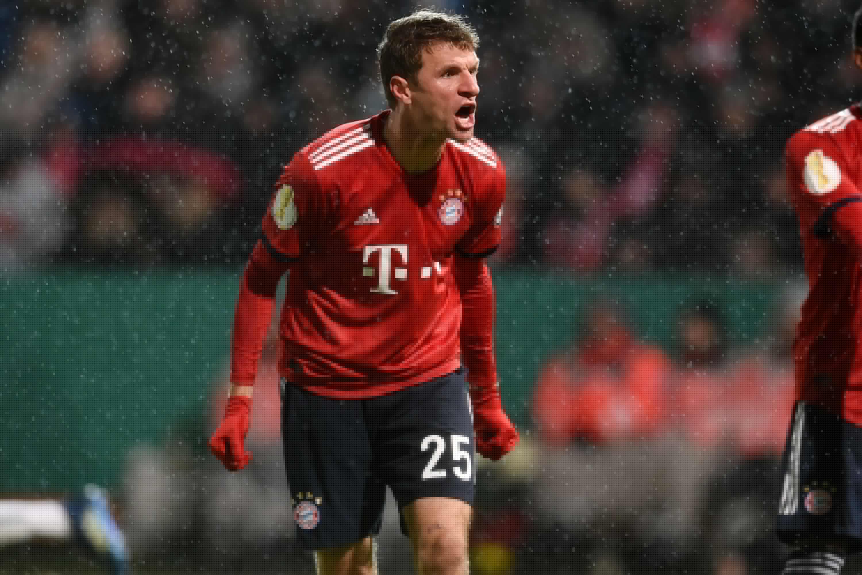 德润蜜枣食品系列插画创作